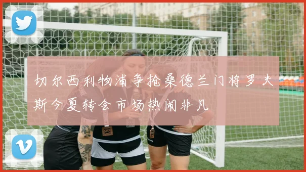切尔西利物浦争抢桑德兰门将罗夫斯今夏转会市场热闹非凡